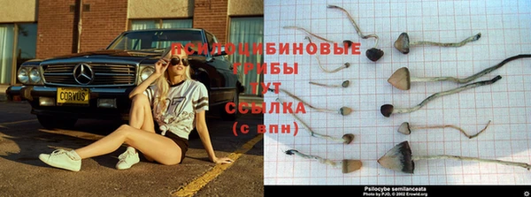 jwh Гусь-Хрустальный