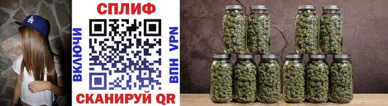 Канабис SATIVA & INDICA  как найти закладки  Новохопёрск 
